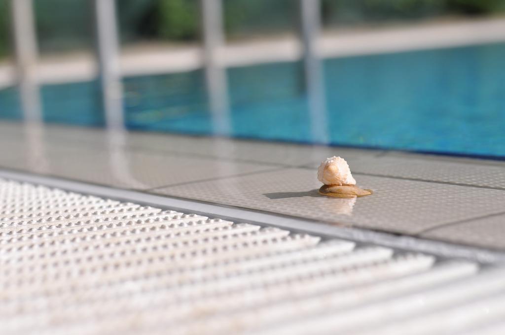 Aqua Wellness Apartments Hajdúszoboszló Værelse billede
